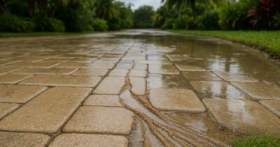 How joint sand keeps washing out of your pavers in Florida - and why sealing is the permanent fix