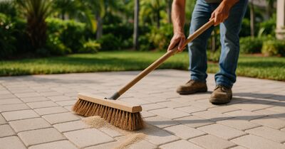 Re-sanding vs. polymeric sand: which does your Gulf Coast pavers need before sealing?
